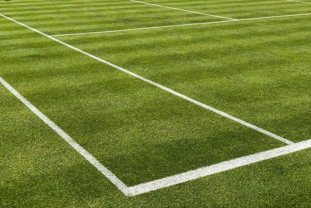 Painted lines on a grass tennis court
